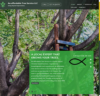 website before redesign